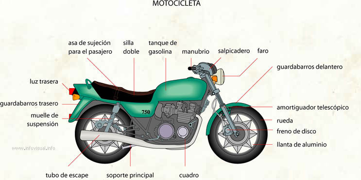 Motocicleta (Diccionario visual)